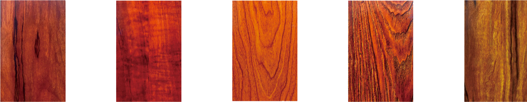 Lacquer electrophoresis wood grain series (indoor)