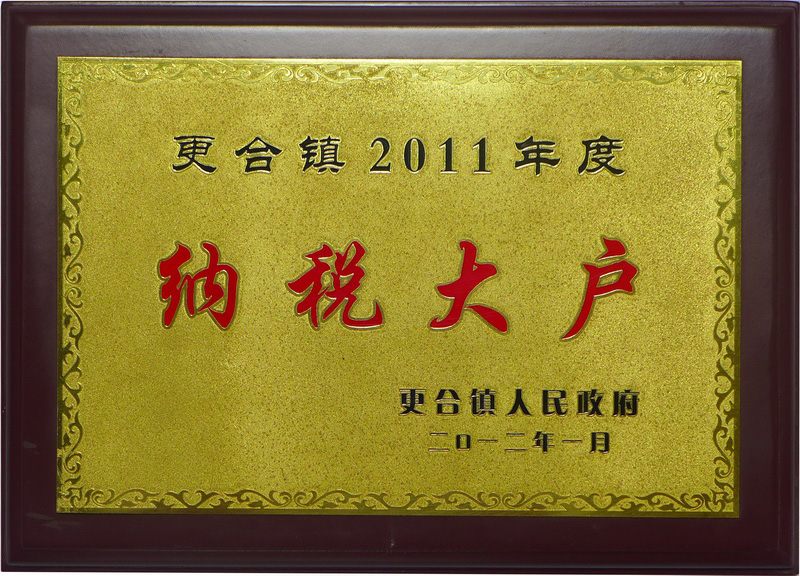 2011纳税大户(2011年)