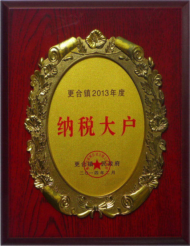 2013纳税大户(2013年)