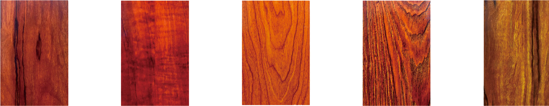 15.png